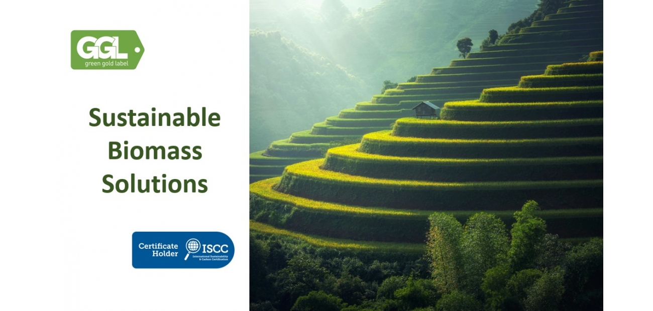 sustainable biomass solutions_2_.jpeg sustainable biomass solutions_2_.jpeg